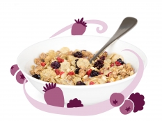 oaty berry crumble - blueberry granola clusters, honey oats, freeze dried strawberry pieces, freeze dried blackberry pieces and rye flakes oaty berry crumble - blueberry granola clusters, honey oats, freeze dried strawberry pieces, freeze dried blackberry pieces and rye flakes