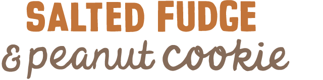 salted fudge peanut cookie